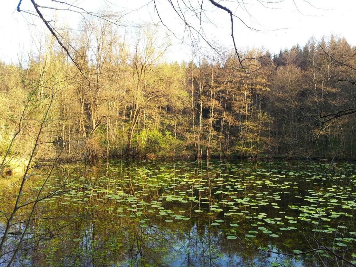 Schoenbuchjuwel Walddorf  Luaran gambar